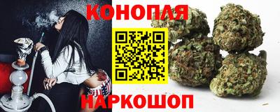 гидропоника Моздок