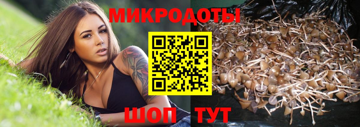 Псилоцибиновые грибы мицелий  Вход с VPN  Унеча 