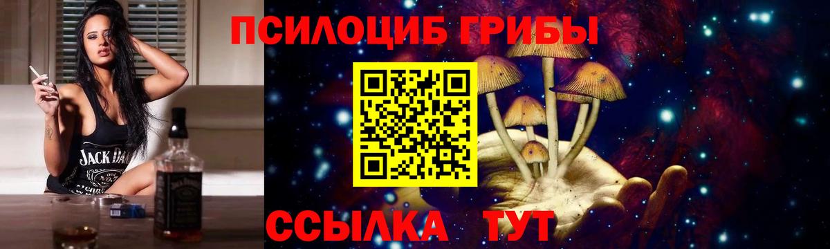 Галлюциногенные грибы мухоморы Унеча